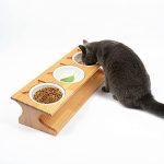 Elevate Mealtime with Smith Chu’s Stylish Pet Feeding Solution!