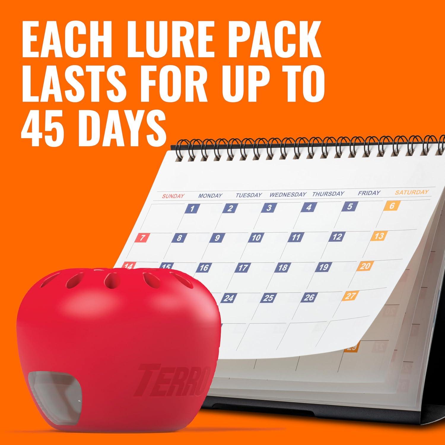 I Put TERRO Fruit Fly Traps to the Test for 180 Days
