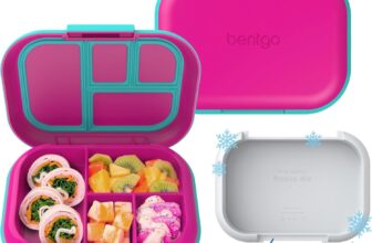 My Kid’s Lunch Stays Cool: My Bentgo Chill Review