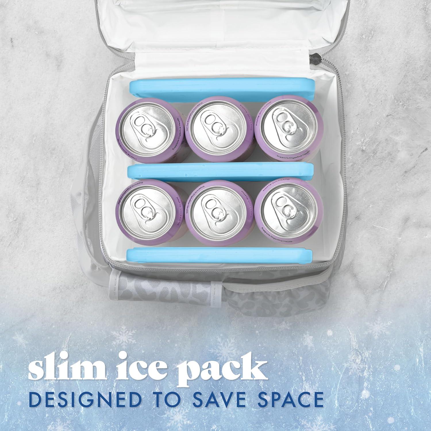 I Tried Cool Coolers' Slim ice Packs and Meals Stayed Cold