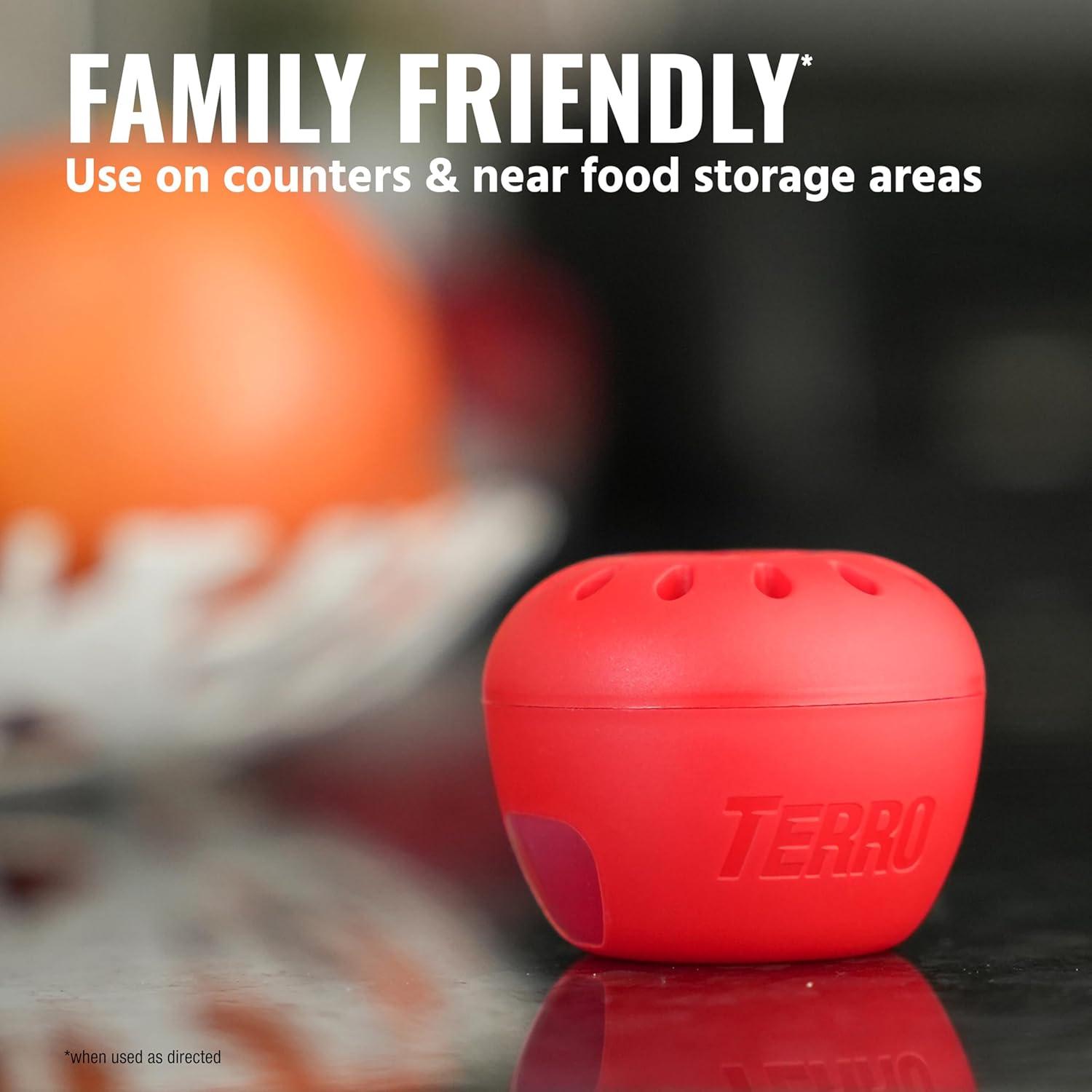 I Put TERRO Fruit Fly Traps to the Test for 180 Days