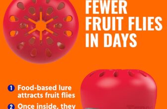 I Put TERRO Fruit Fly Traps to the Test for 180 Days