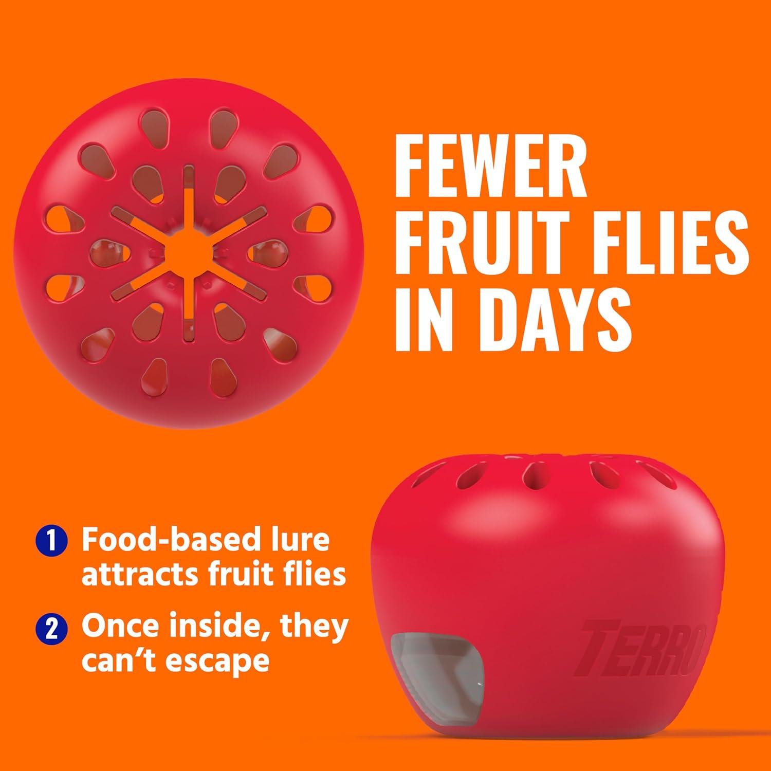 I Put TERRO Fruit Fly Traps to the Test for 180 Days