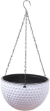 Spruce Up Your Space: Self-Watering Hanging Planters Review