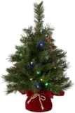 Brighten Your Holidays: Top Mini Trees and Garlands from National Tree Company