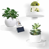Stylish Beech Wood Floating Shelves: Elevate your Space with AceList’s Round 3-Pack Wall Decor Solution!
