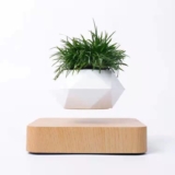 Magnetic Levitation Plant Holder: Mesmerizing Floating Decor!