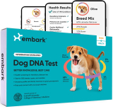 Embark Breed & Health Kit: Is It Worth Your Money?