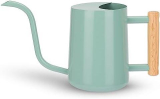 Sprinkle Beauty: CEWOR Indoor Metal Watering Can Review