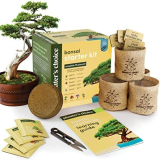 Growing Joy: Bonsai Starter Kit Review for Plant Lovers