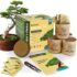 Unboxing Cathy’s Greenhouse: A Miniature DIY Delight for Adults