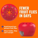 I Put TERRO Fruit Fly Traps to the Test for 180 Days