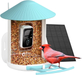 Bird Lover’s Dream: NETVUE Smart Bird Feeder with Camera Review